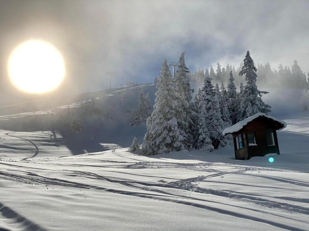 Studio Pied Des Pistes ヴィラール・ド・ラン エクステリア 写真
