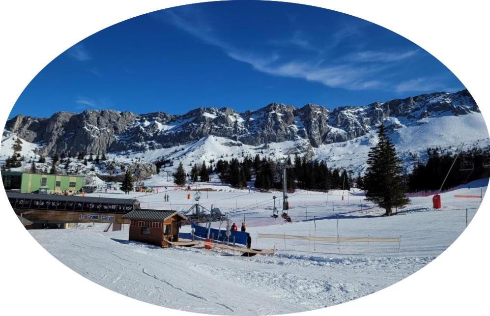 Studio Pied Des Pistes ヴィラール・ド・ラン エクステリア 写真