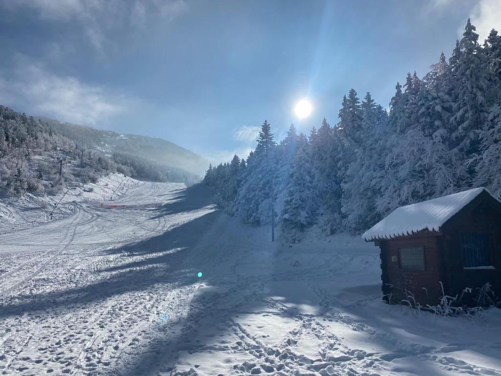 Studio Pied Des Pistes ヴィラール・ド・ラン エクステリア 写真